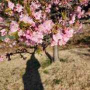 ヒメ日記 2024/03/07 13:25 投稿 かしす 熟女の風俗最終章 本厚木店