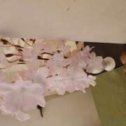 ヒメ日記 2025/04/17 17:09 投稿 かしす 熟女の風俗最終章 本厚木店