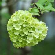 ヒメ日記 2025/05/30 20:15 投稿 かしす 熟女の風俗最終章 本厚木店