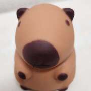 ヒメ日記 2025/07/17 11:46 投稿 かしす 熟女の風俗最終章 本厚木店