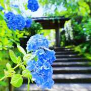 ヒメ日記 2025/07/18 14:06 投稿 かしす 熟女の風俗最終章 本厚木店