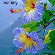 ヒメ日記 2025/08/19 12:45 投稿 かしす 熟女の風俗最終章 本厚木店