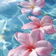 ヒメ日記 2025/09/20 15:15 投稿 かしす 熟女の風俗最終章 本厚木店