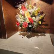 ヒメ日記 2025/12/21 14:41 投稿 かしす 熟女の風俗最終章 本厚木店