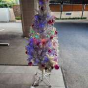 ヒメ日記 2025/12/22 15:51 投稿 かしす 熟女の風俗最終章 本厚木店