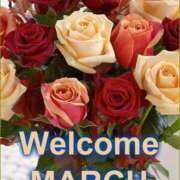 ヒメ日記 2026/03/02 18:02 投稿 かしす 熟女の風俗最終章 本厚木店