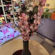 ヒメ日記 2026/03/11 14:41 投稿 かしす 熟女の風俗最終章 本厚木店