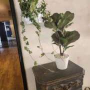 ヒメ日記 2026/03/14 14:11 投稿 かしす 熟女の風俗最終章 本厚木店