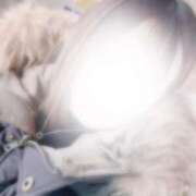 ヒメ日記 2024/12/31 22:13 投稿 かほ☆清楚系S級美少女♪♪♪ 大崎・古川 デリヘル 激安王