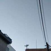 ヒメ日記 2025/12/15 19:27 投稿 永坂　ひろみ 東京ローズマリー