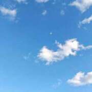 ヒメ日記 2026/01/01 21:27 投稿 永坂　ひろみ 東京ローズマリー