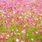 るり こんにちは☺ マドンナ浜松町