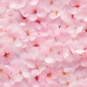 ヒメ日記 2025/02/15 09:18 投稿 るり マドンナ浜松町