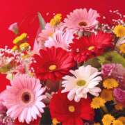 ヒメ日記 2025/02/21 11:33 投稿 るり マドンナ浜松町