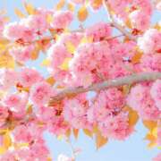 ヒメ日記 2025/04/16 10:47 投稿 るり マドンナ浜松町