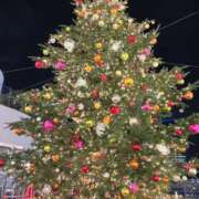 ヒメ日記 2025/12/25 10:53 投稿 るり マドンナ浜松町