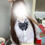 ヒメ日記 2024/12/14 08:45 投稿 かなた CECIL