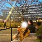 ヒメ日記 2025/04/14 05:00 投稿 かなた CECIL