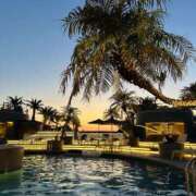 ヒメ日記 2025/06/06 05:44 投稿 かなた CECIL