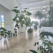 ヒメ日記 2025/06/15 11:32 投稿 かなた CECIL