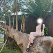 ヒメ日記 2025/06/15 20:52 投稿 かなた CECIL