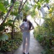 ヒメ日記 2025/06/21 17:11 投稿 かなた CECIL