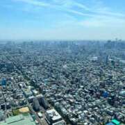 ヒメ日記 2025/07/22 22:25 投稿 かなた CECIL