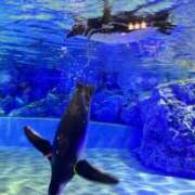 ヒメ日記 2025/07/30 12:58 投稿 かなた CECIL