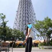 ヒメ日記 2025/08/12 12:01 投稿 かなた CECIL