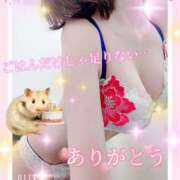 ヒメ日記 2025/05/30 10:45 投稿 琴【こと】 ジュエリー(谷九)