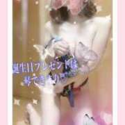 ヒメ日記 2025/07/13 10:30 投稿 琴【こと】 ジュエリー(谷九)