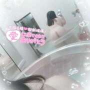 ヒメ日記 2025/03/31 21:55 投稿 とあ 西川口ぷよステーション