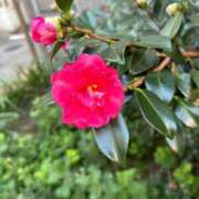 ヒメ日記 2025/03/02 10:30 投稿 かすみ 完熟ばなな神戸・三宮店