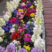 ヒメ日記 2025/03/25 13:01 投稿 かすみ 完熟ばなな神戸・三宮店