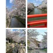 ヒメ日記 2025/04/08 12:49 投稿 かすみ 完熟ばなな神戸・三宮店