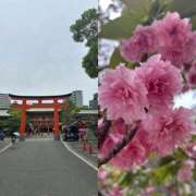 ヒメ日記 2025/04/22 13:43 投稿 かすみ 完熟ばなな神戸・三宮店