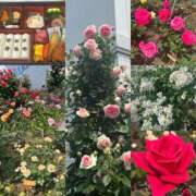 ヒメ日記 2025/05/13 10:01 投稿 かすみ 完熟ばなな神戸・三宮店