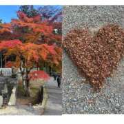 ヒメ日記 2025/11/22 12:07 投稿 かすみ 完熟ばなな神戸・三宮店