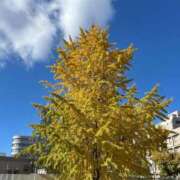 ヒメ日記 2025/11/29 12:12 投稿 かすみ 完熟ばなな神戸・三宮店