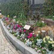 ヒメ日記 2026/02/28 12:33 投稿 かすみ 完熟ばなな神戸・三宮店