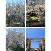 ヒメ日記 2026/04/04 12:18 投稿 かすみ 完熟ばなな神戸・三宮店