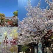 ヒメ日記 2026/04/08 11:06 投稿 かすみ 完熟ばなな神戸・三宮店