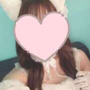 ヒメ日記 2025/06/25 15:33 投稿 とあ ルーフ福井