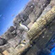 ヒメ日記 2025/01/04 13:24 投稿 ゆず 人妻倶楽部 内緒の関係 大宮店