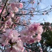 ヒメ日記 2025/04/08 02:55 投稿 ゆず 人妻倶楽部内緒の関係 春日部店