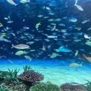 ヒメ日記 2025/08/21 11:55 投稿 ゆず 人妻倶楽部内緒の関係 春日部店