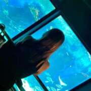 ヒメ日記 2025/01/24 12:19 投稿 美香（みか） エスペランサ新館