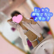 ヒメ日記 2026/02/15 19:33 投稿 きこ フロンティア