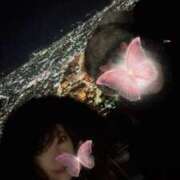 ヒメ日記 2024/12/18 09:17 投稿 ひなた チューリップ福井別館