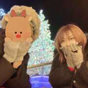 ヒメ日記 2024/12/19 09:04 投稿 ひなた チューリップ福井別館